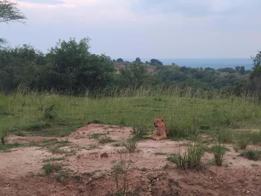 Uganda: 4-Day Murchison Falls National Park Safari - FAQ