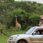 Uganda: 9-Day Roundtrip with Chimpanzee Tracking - Who Should Consider This Tour?