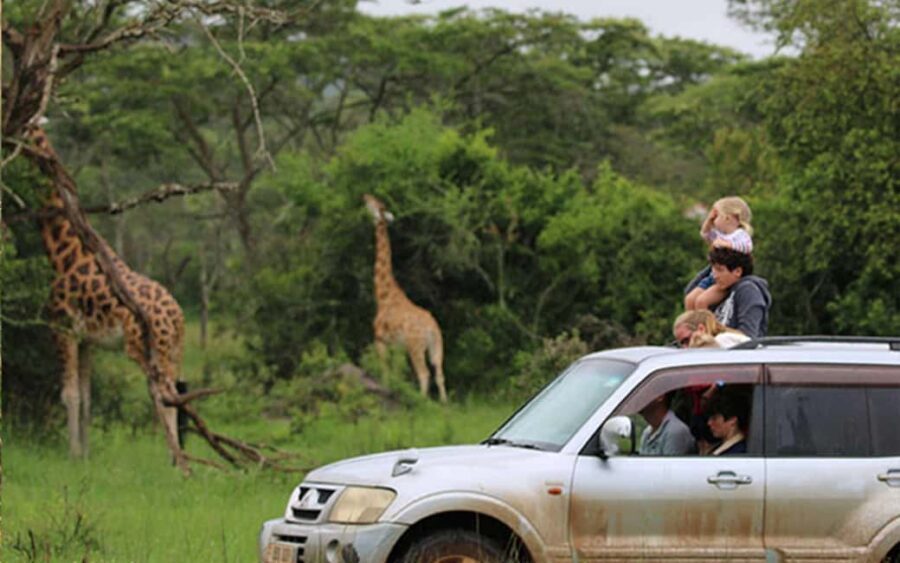 Uganda: 9-Day Roundtrip with Chimpanzee Tracking - Who Should Consider This Tour?