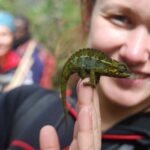 UGANDA RWENZORI  WATERFALLS & MONTANE ALLURE | 6-Day Hike - Practical Considerations and Value