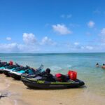 Ultimate 10 Hour Jetski Adventure from Gold Coast to Tangalooma - What Reviewers Say: Authentic Insights
