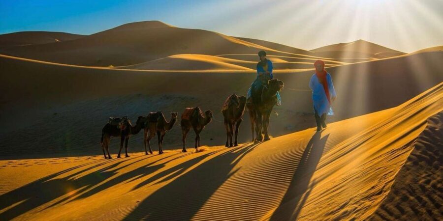 Ultimate 4 Days / 3 Nights Sahara Experience - What’s Included and What to Consider