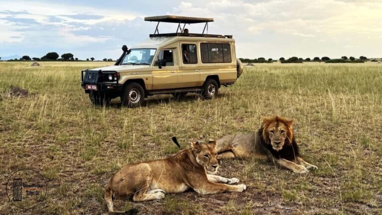 ULTIMATE  AK47 TARGET SHOOT, BOAT CRUISE & SAFARI | Advent - Why This Tour Stands Out