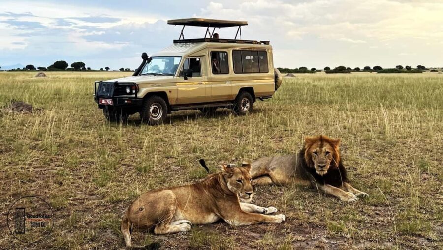 ULTIMATE  AK47 TARGET SHOOT, BOAT CRUISE & SAFARI | Advent - Why This Tour Stands Out