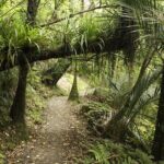 Ultimate Auckland Experience Full Day Tour with Brewery Lunch - Practical Aspects of the Tour