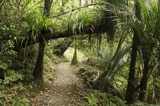 Ultimate Auckland Experience Full Day Tour with Brewery Lunch - Practical Aspects of the Tour