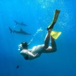 Ultimate Encounter Snorkel with Sharks in Fiji - Island Facilities and Relaxation