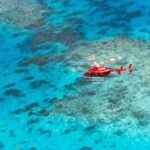 Ultimate Great Barrier Reef and Rainforest 45-minute Helicopter Tour - What Makes This Tour Special?