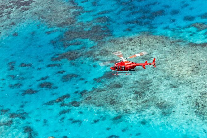Ultimate Great Barrier Reef and Rainforest 45-minute Helicopter Tour - What Makes This Tour Special?