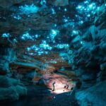 Ultimate Waitomo Glowworm Tour  Private, Tailored, After Dark - Who Would Love This Tour?