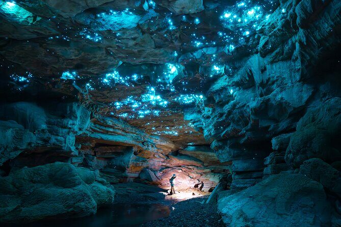 Ultimate Waitomo Glowworm Tour  Private, Tailored, After Dark - Who Would Love This Tour?