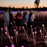 Uluru (Ayers Rock) Field of Light Sunrise Tour - Watching the Sunrise Over Uluru