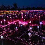 Uluru: Field of Light Sunrise Tour with Hot Drinks - Authentic Insights from Reviewers