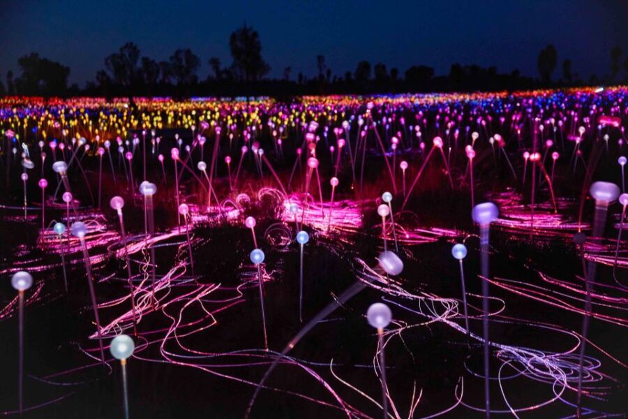 Uluru: Field of Light Sunrise Tour with Hot Drinks - Authentic Insights from Reviewers