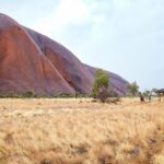 Uluru Morning Guided Base Walk - A Detailed Look at the Uluru Base Walk
