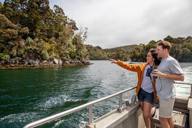 Ulva Island Explorer from Stewart Island - The Value of This Experience