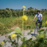 Umm Qais: Guided Light Cycling Tour with Equipment - What’s Included and How It Adds Value