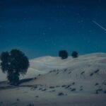 Under the Arabian Stars: Doha Night Desert Safari Adventure - A Detailed Look at the Experience