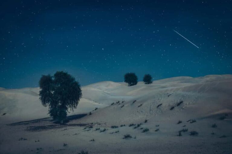 Under the Arabian Stars: Doha Night Desert Safari Adventure - A Detailed Look at the Experience
