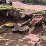 Unforgettable South Excursion Mauritius - Authentic Reviews and Insights