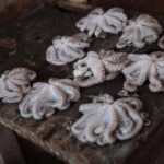 Unique Private Stone town tour - Why This Tour Offers Great Value