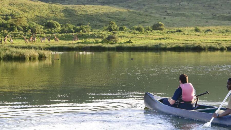 Up Close with Nature: Arusha Walking Safari + Game Drive - Who Should Consider This Tour?