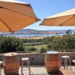 Valleys of Vino Full Day Tour - The Experience at Puddleduck Wines