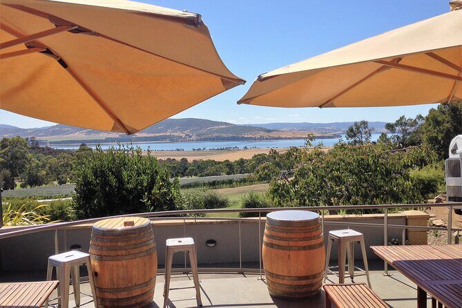 Valleys of Vino Full Day Tour - The Experience at Puddleduck Wines
