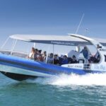 Victor Harbor: Seal Island Cruise - Real Traveler Insights