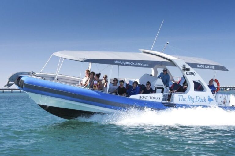 Victor Harbor: Seal Island Cruise - Real Traveler Insights