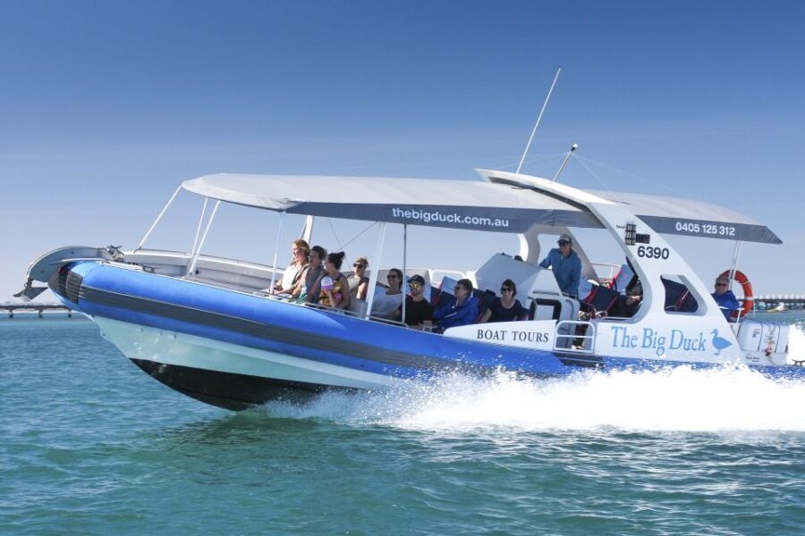 Victor Harbor: Seal Island Cruise - Real Traveler Insights