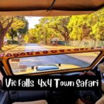 Victoria Falls: 4x4 Victoria Falls Town Safari - Who This Tour Is Best For