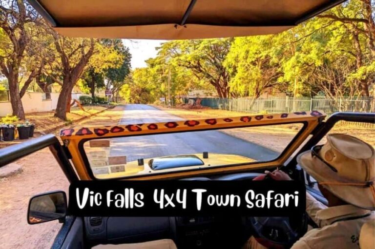 Victoria Falls: 4x4 Victoria Falls Town Safari - Who This Tour Is Best For