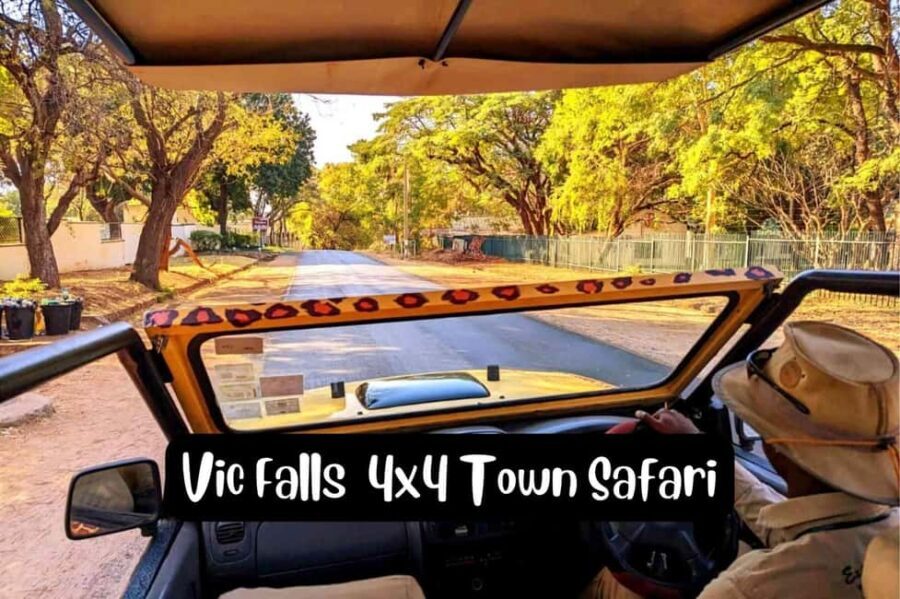 Victoria Falls: 4x4 Victoria Falls Town Safari - Who This Tour Is Best For