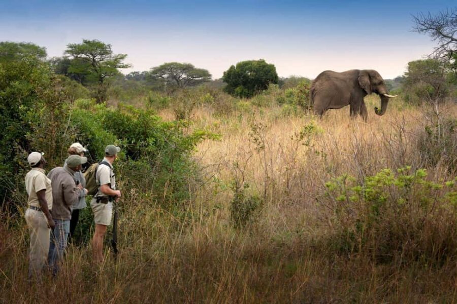 Victoria Falls and Hwange National Park 4-Day Safari Tour - The Experience: What Travelers Can Expect