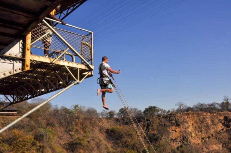 Victoria Falls Bridge Bungee Jump - Preparing for the Jump: What to Expect