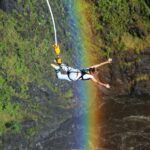 Victoria Falls: Bungee Jump with Bridge Tour Option - Experience Overview: What You Can Expect