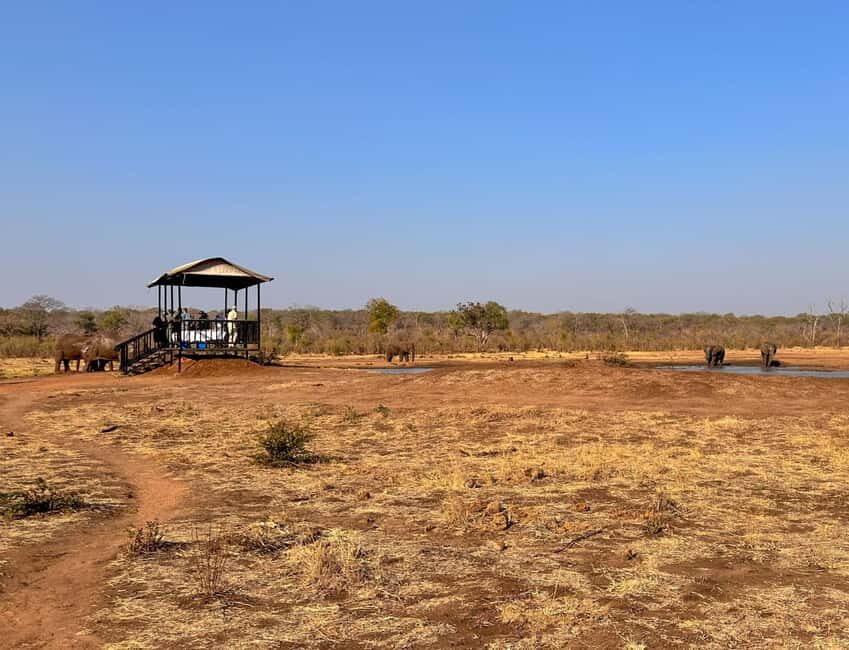 Victoria Falls: Elecrew Through The Eyes Of An Elephant - An In-Depth Look at the Experience