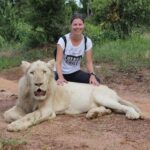 Victoria Falls: Elephant, Lion, and Cheetah Encounter - Who Will Love This Tour?