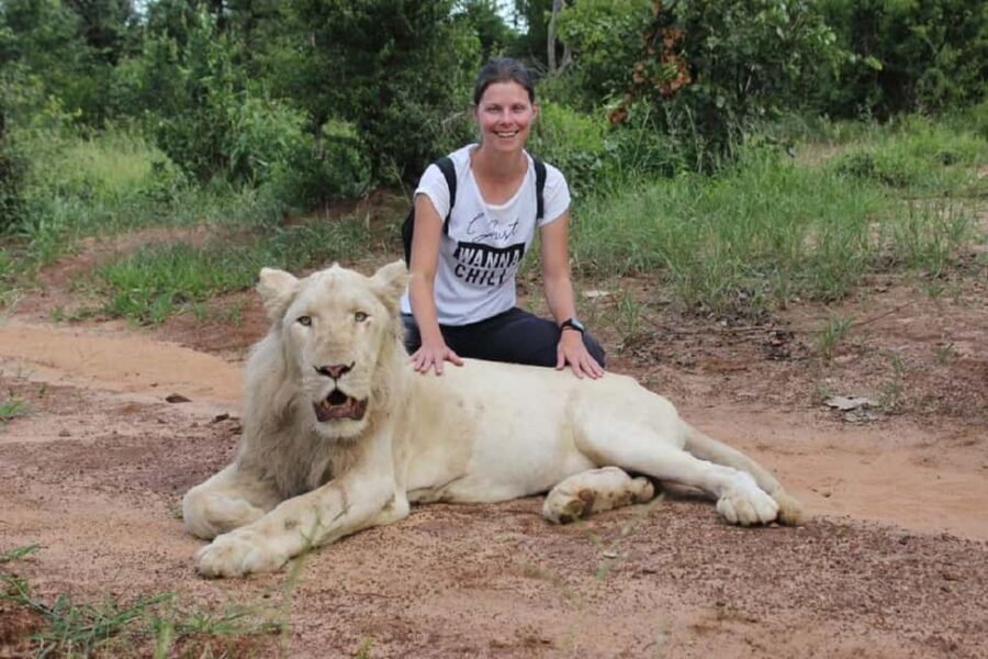 Victoria Falls: Elephant, Lion, and Cheetah Encounter - Who Will Love This Tour?