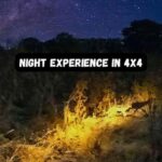 Victoria Falls: Flashlight Bush Experience and Stargazing - An Overview of the Tour Experience