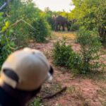 Victoria Falls: Game Walk in the Zambezi National Park - How the Tour Fits Into Your Trip