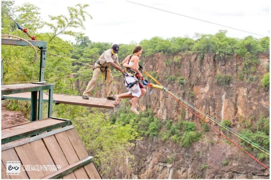 Victoria Falls: Gorge Swing Experience with Transfers - Authentic Reviews and Insider Insights