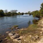 Victoria Falls: Private Birdwatching Safari near the town - FAQ