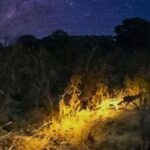 Victoria Falls: Stargazing Safari - Why This Tour Works Well