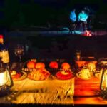 Victoria Falls: Stargazing Safari in the Bush with 4x4 - What Makes This Tour Worth It?