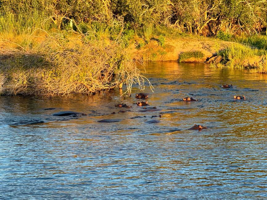 Victoria Falls: Sunset Cruise with 2 Shearwater Activities - Why This Tour Offers Great Value