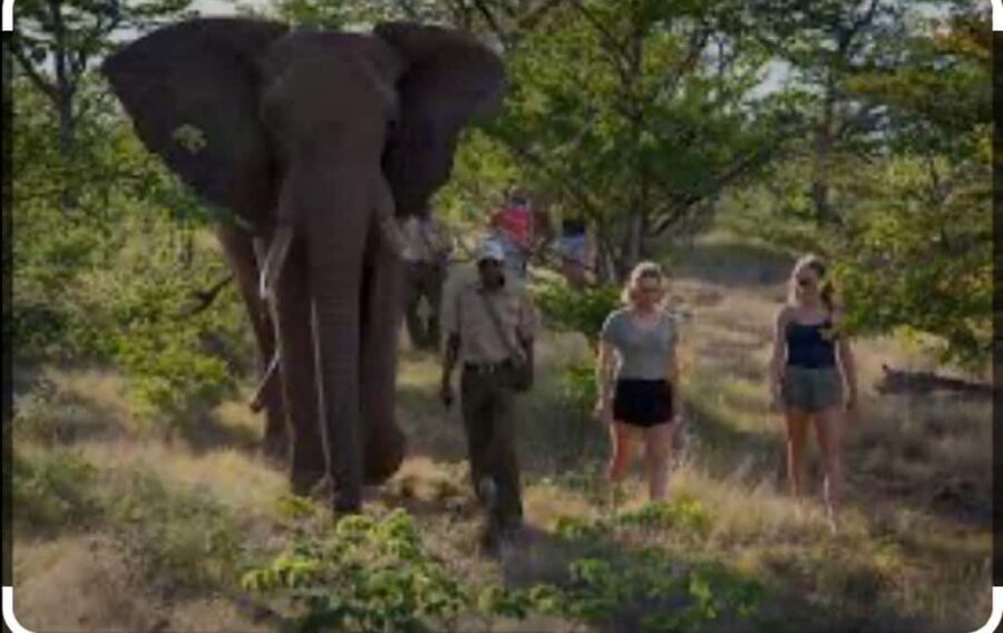 Victoria Falls: Through the eye of an elephant - Who Should Consider This Tour?