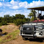 Victoria Falls: Zambezi National Park Game Drive - Food, Comfort, and Practical Details
