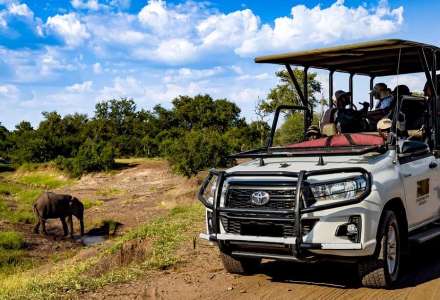 Victoria Falls: Zambezi National Park Game Drive - Food, Comfort, and Practical Details